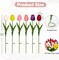 24 Pcs Artificial Tulips Flowers Mixcolor Real Touch Fake Tulips Fake Flowers